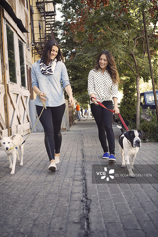 微笑的朋友带着狗在城市的人行道上散步图片素材