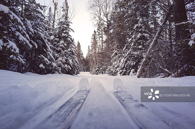 在树林中被雪覆盖的小路上滑雪图片素材