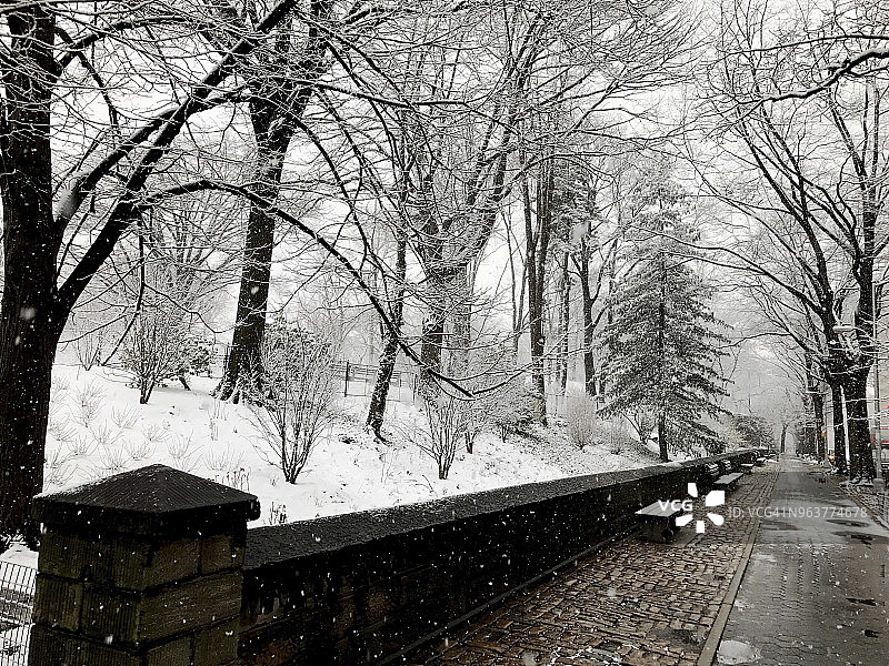 雪覆盖的公园长椅，树木，石墙，鹅卵石人行道在纽约市公园图片素材