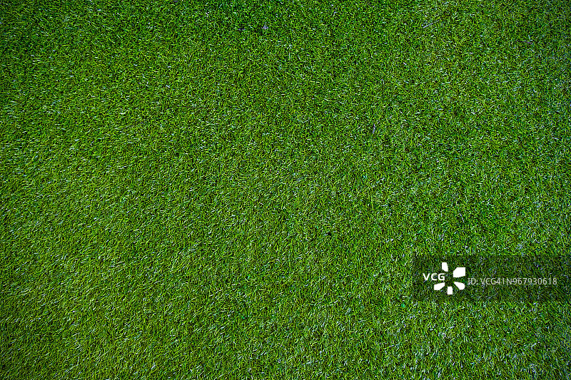 人工草地。绿色背景。清新装饰墙纸图片素材