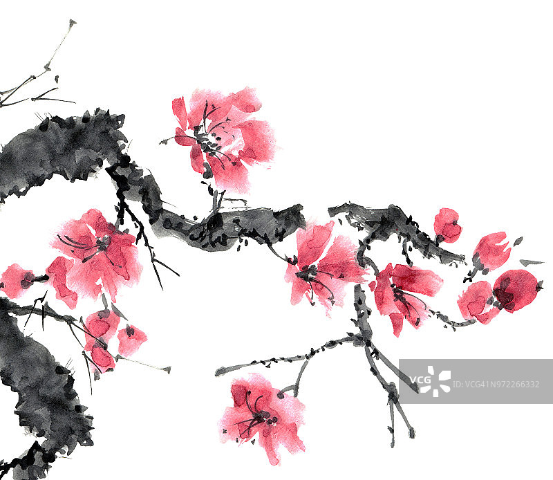 樱花开花树图片素材