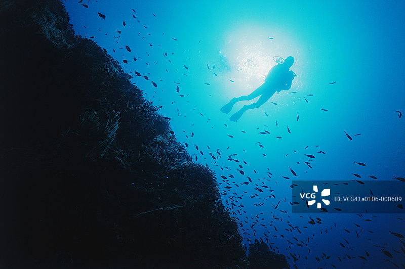 在红海潜水的人图片素材