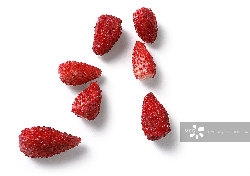 野草莓，白色背景图片素材