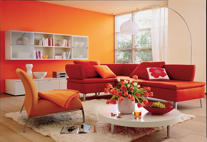 客厅内部，红色沙发，弧光灯和桌上的花盆图片下载