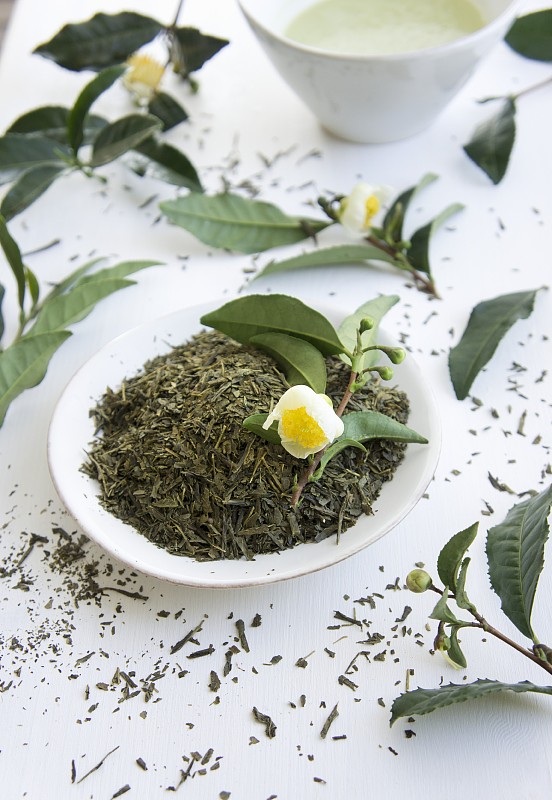 晒干的茶叶和一株开花的茶叶图片下载