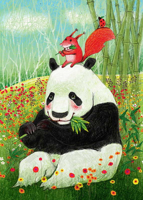 吃竹子的熊猫和松鼠图片下载