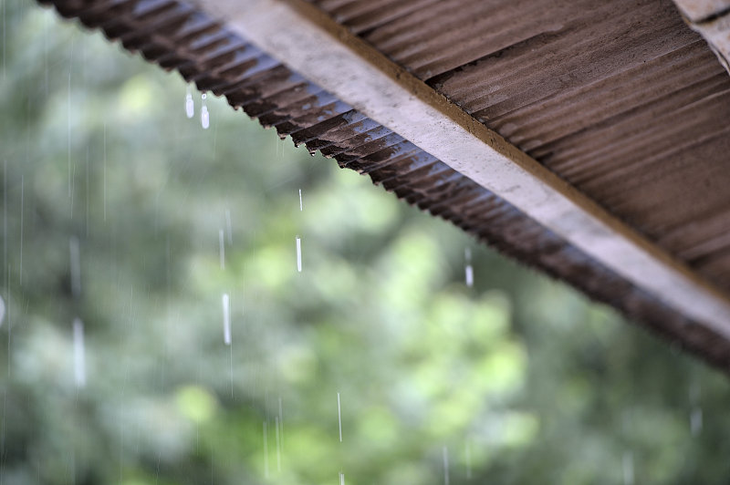 雨， 雨滴， 阳州， 庆吉， 韩国图片素材