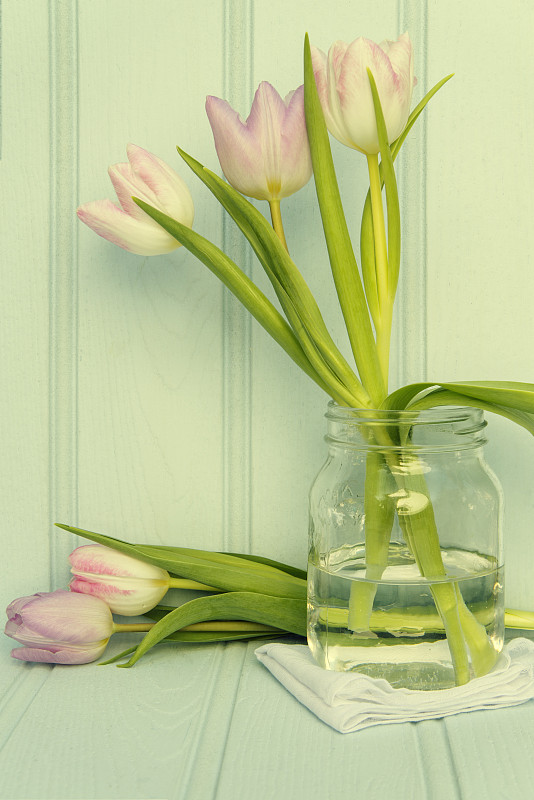 春天花的静物图像与Instagram交叉处理滤镜应用图片素材