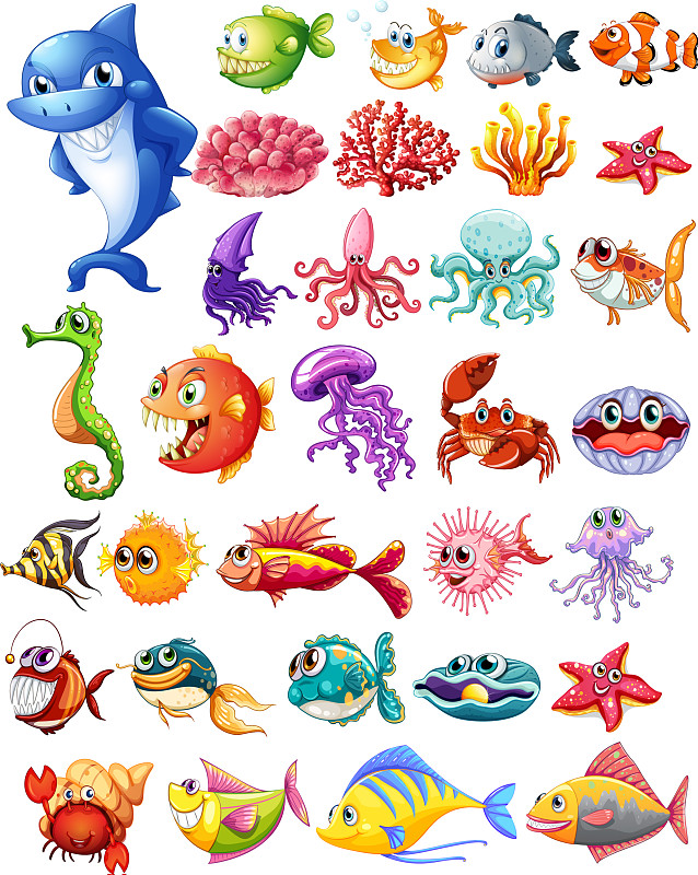 100种海洋生物名称大全图片