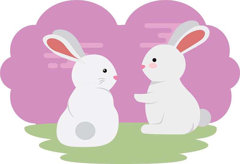 可爱的小兔子夫妇在草地人物图片