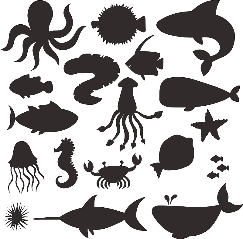 海底动物影子图片