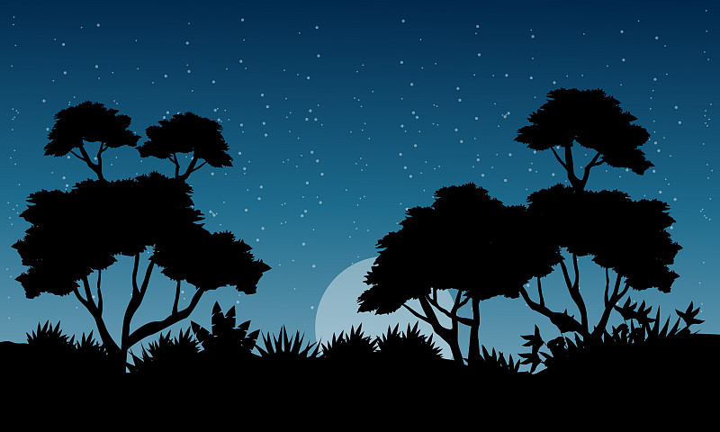 夜晚树林 动漫图片