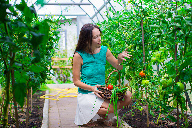 在温室里抱着一篮绿色植物和蔬菜的年轻女子图片下载