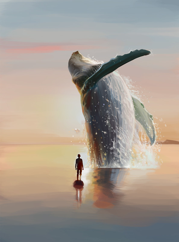 鲸鱼系12图片素材