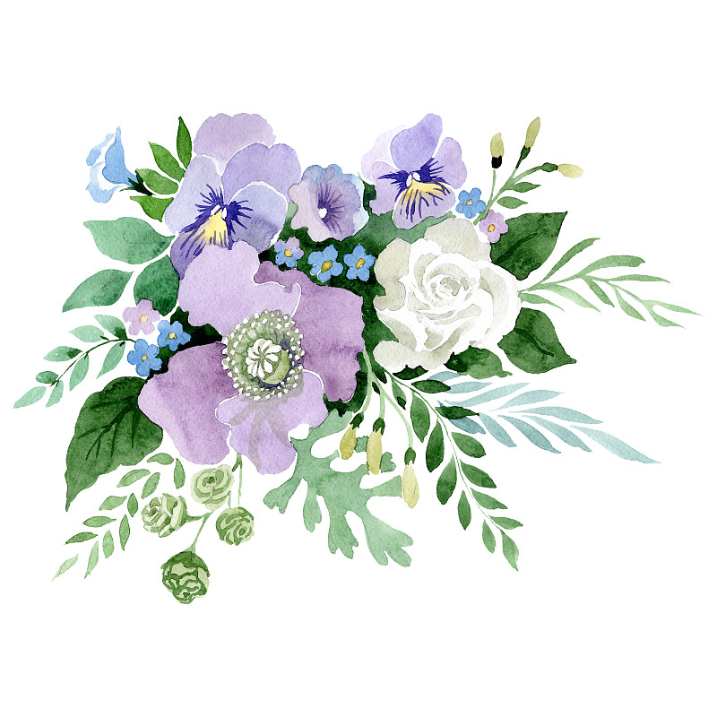 花束，植物花。水彩背景插图集。孤立的花束插图元素。图片下载