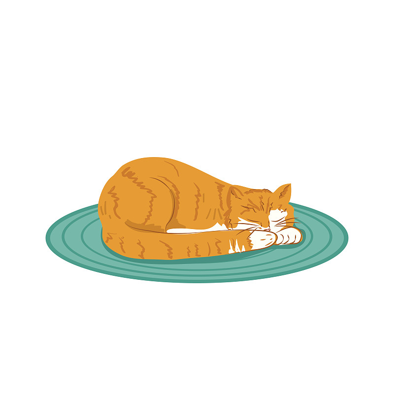 橙色虎斑猫睡在地毯上图片下载