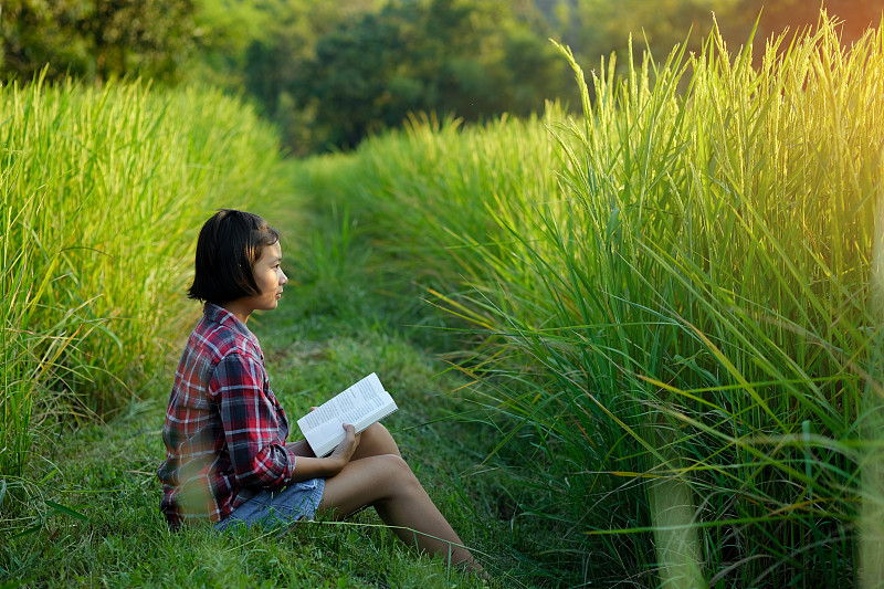 坐在农场里看书的女孩图片素材