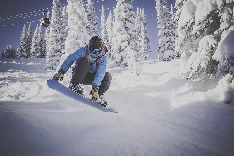 滑雪板在行动在新鲜的粉末雪图片下载