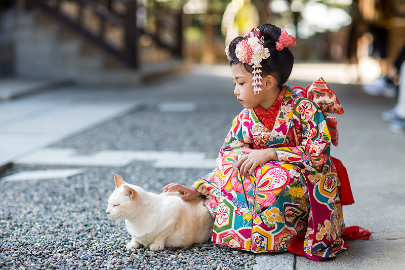 一位身着传统和服的年轻日本女孩在抚摸一只猫图片下载