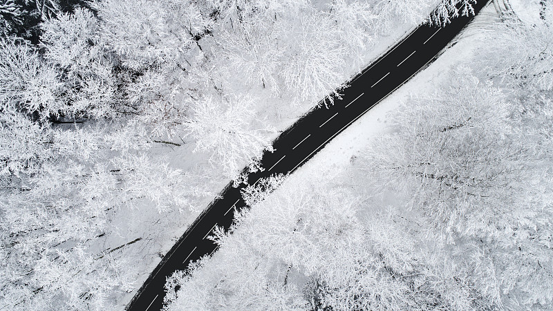 穿越冬季森林的道路-鸟瞰图图片下载