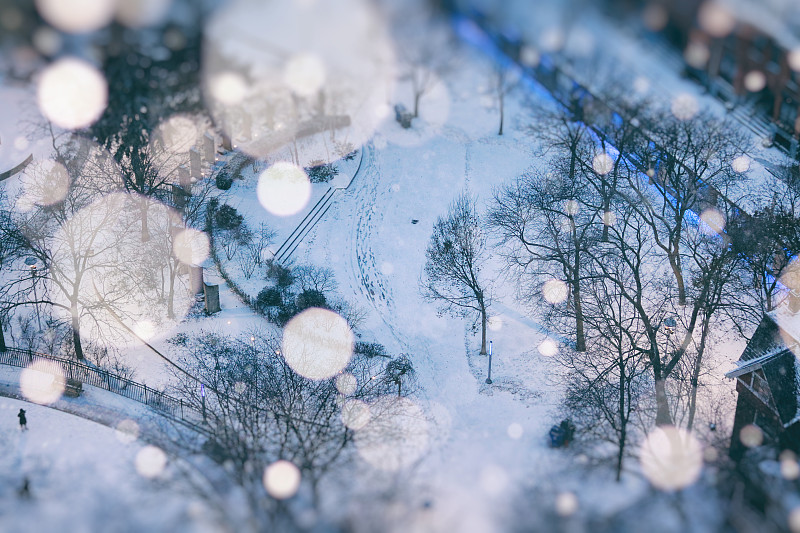 公园在雪球多伦多的冬景图片下载