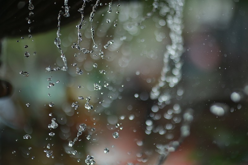 水滴在植物上的特写图片素材