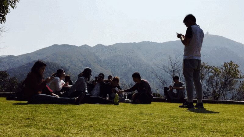 一个人在玩智能手机游戏，而他的朋友们正在草坪上休息图片下载