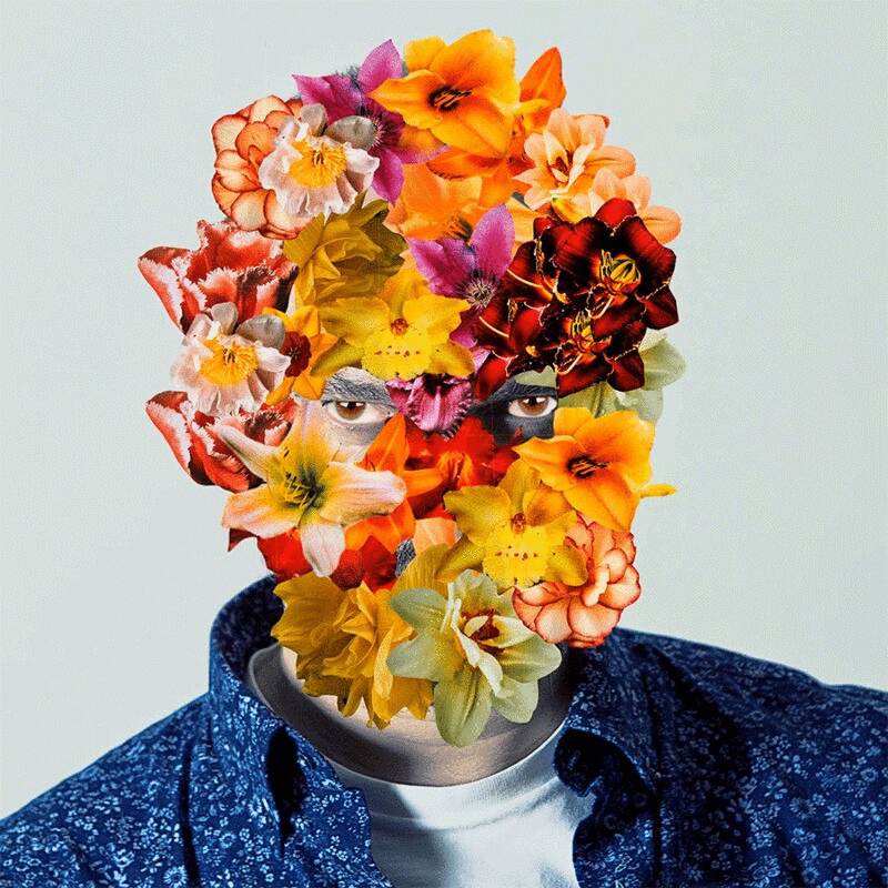 头和肩膀人像与鲜花覆盖他的脸图片下载