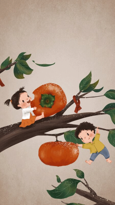 霜降两个孩子在柿子树上玩耍插画下载