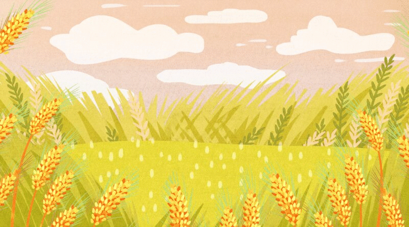 黄色的麦田风景插画动图图片下载