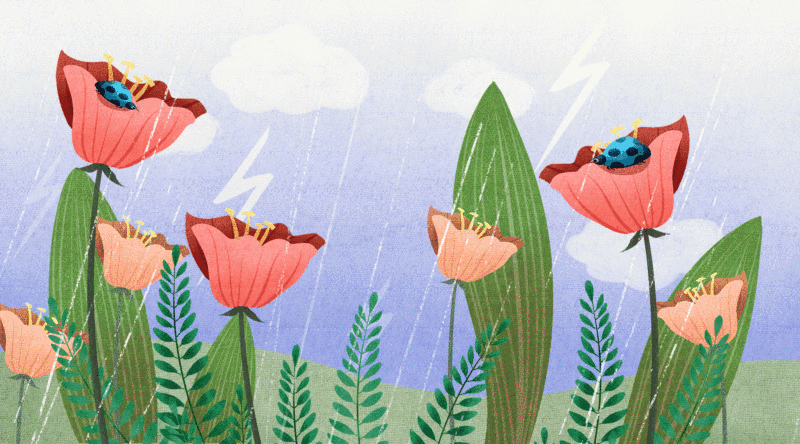 雨天大自然的花卉昆虫插画GIF动图插画下载