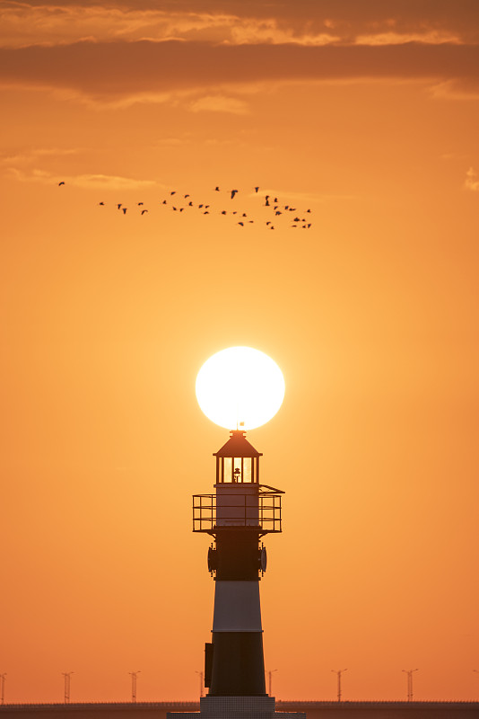 珠海灯塔风光悬日飞鸟图片下载