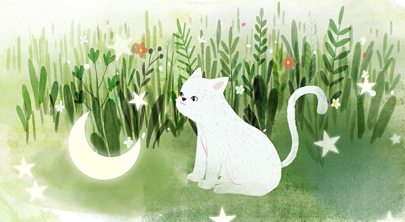 草丛中的猫插画图片