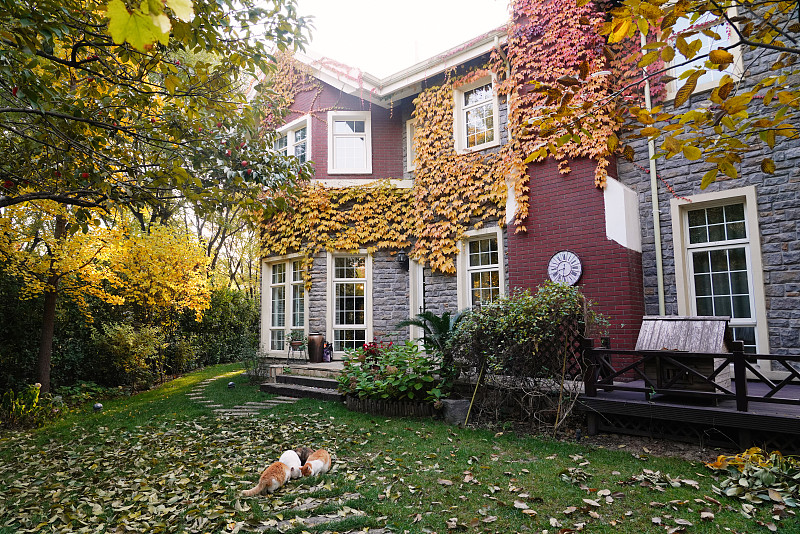 秋天私家别墅的庭院图片素材