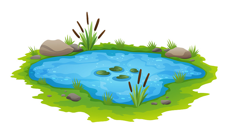 自然池塘户外景色小蓝装饰图片下载