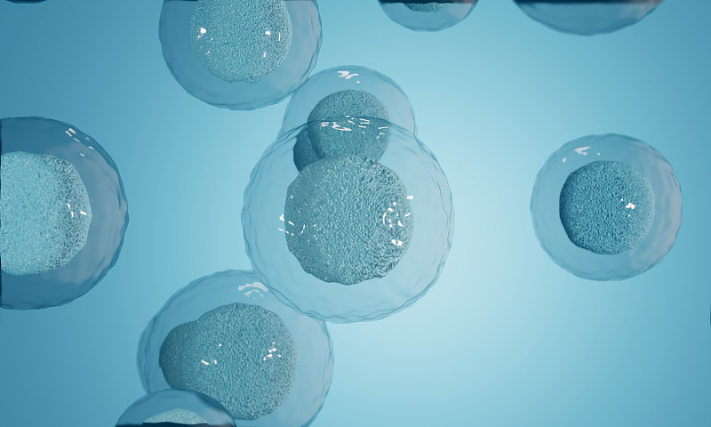 显微镜下的生物卵子卵细胞图片下载