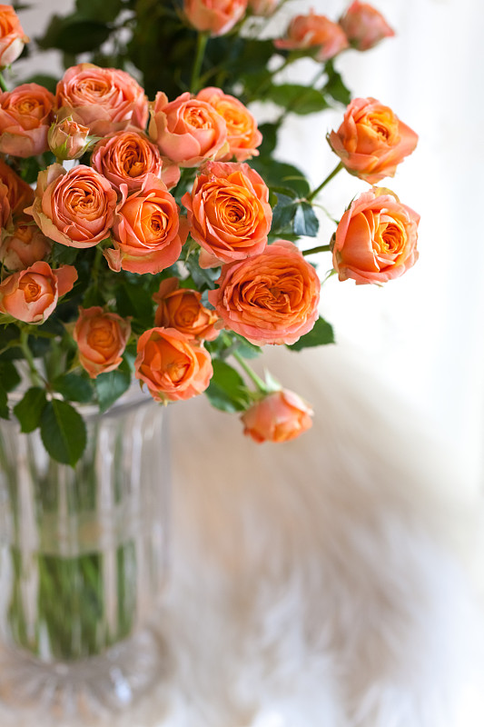 一大束粉红色的玫瑰花放在花瓶里图片素材