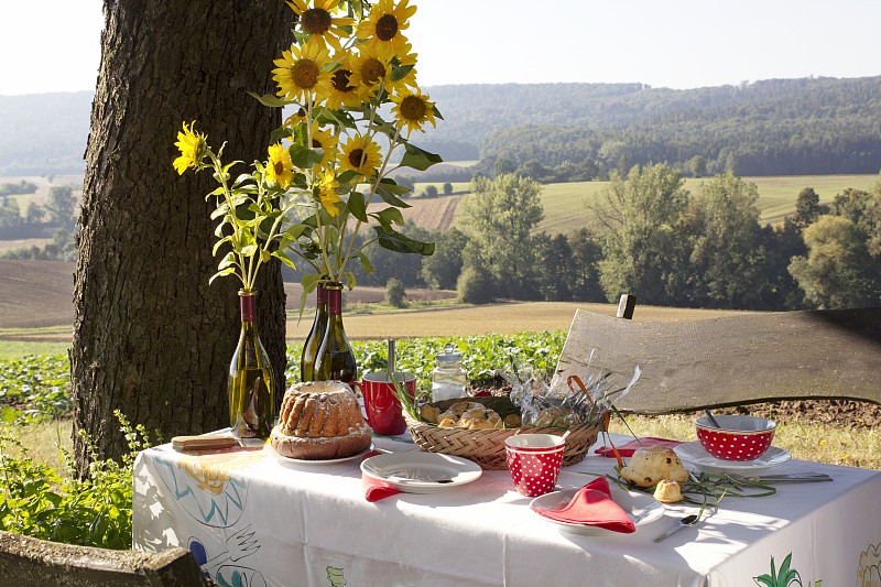 蛋糕和向日葵在桌子上为下午咖啡和风景图片下载