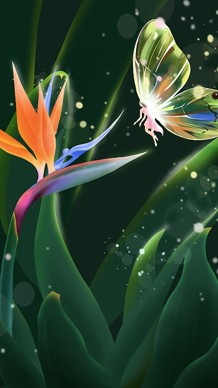 雨露下的植物天堂鸟与晶莹蝴蝶梦幻插画下载