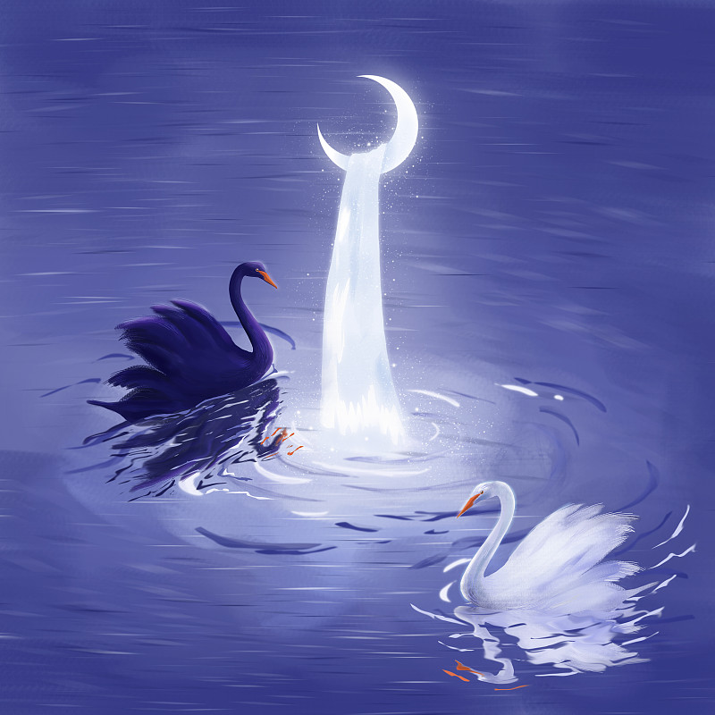 蓝紫色背景的月亮与瀑布下的一对黑白天鹅图片素材