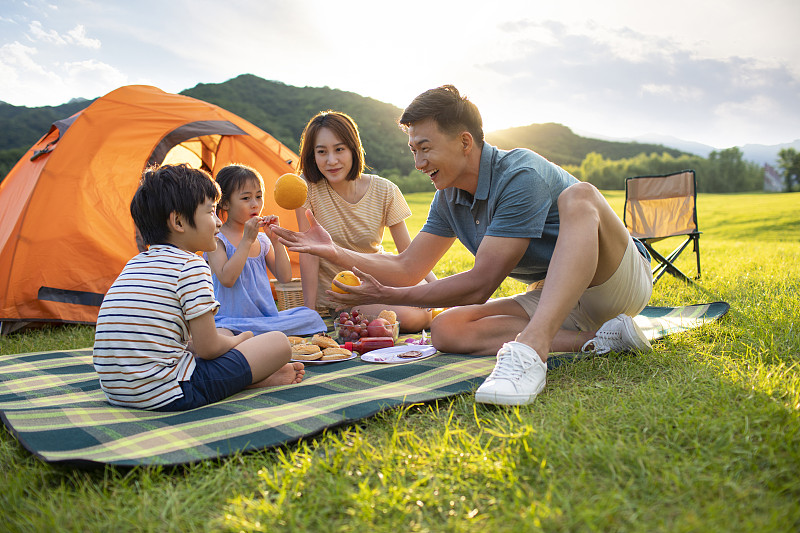 快乐的年轻家庭在户外野餐图片下载