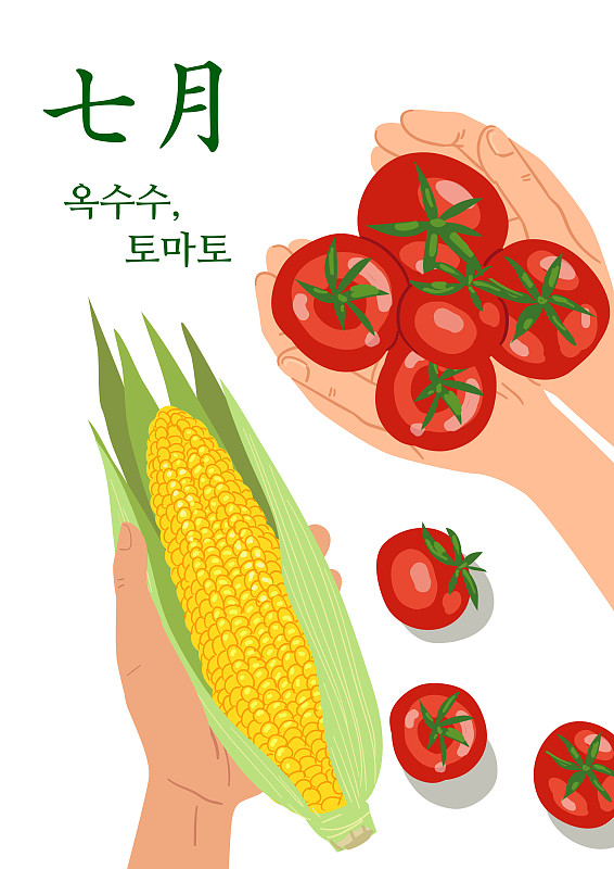 食品，季节食品，顶角，七月，番茄，玉米，人手图片下载