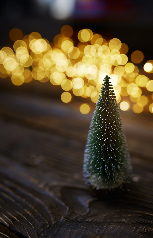 小圣诞树放在一张木桌上，旁边是圣诞彩灯图片素材