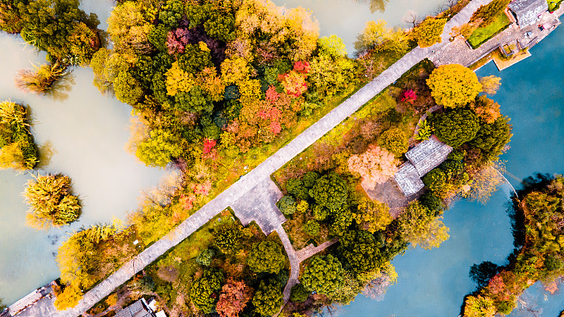 秋天的杭州西溪湿地公园图片素材