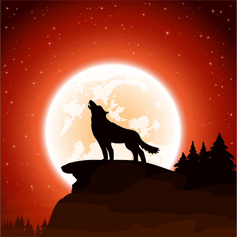 狼和月亮在天空的背景图片