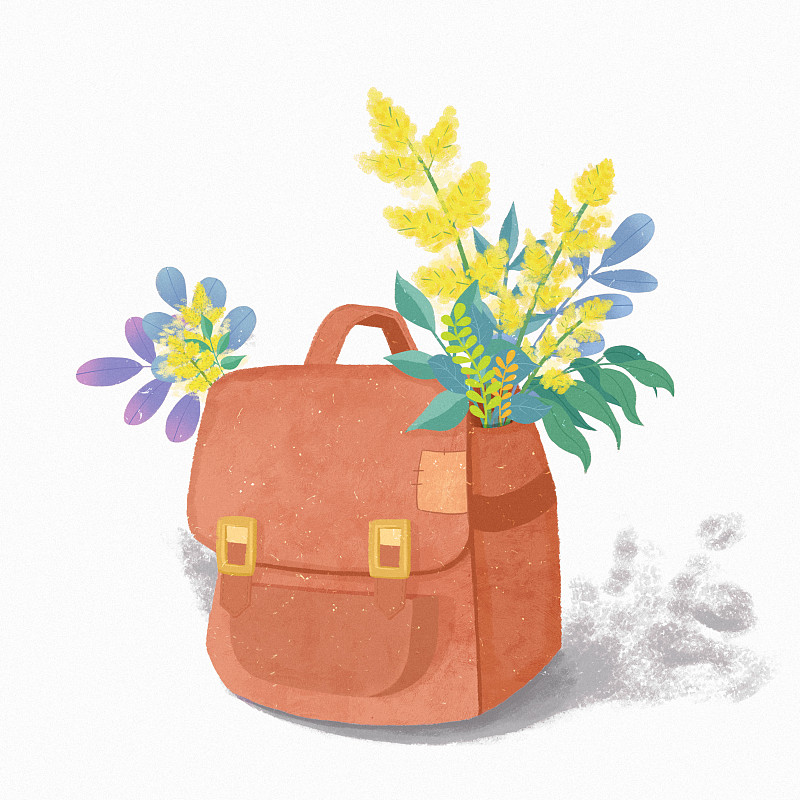 板绘平涂复古旅行背包开花卉花束素材元素插画图片