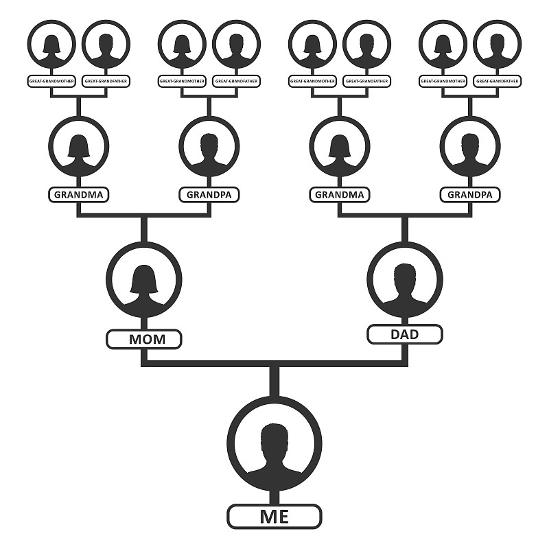 三代家庭结构图图片