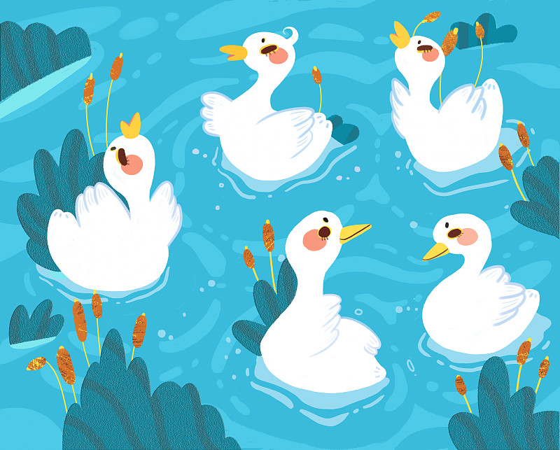 5只小天鹅在水里嬉戏打闹舞蹈图片素材