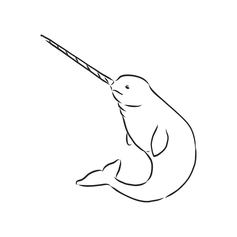 独角鲸简笔画卡通图片