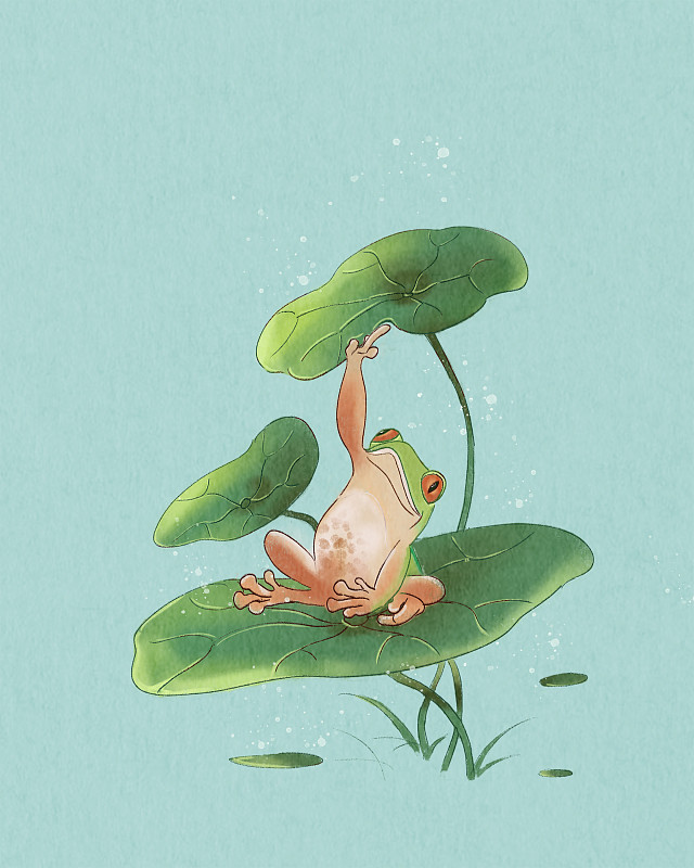 夏天荷叶上的青蛙装饰插画图片